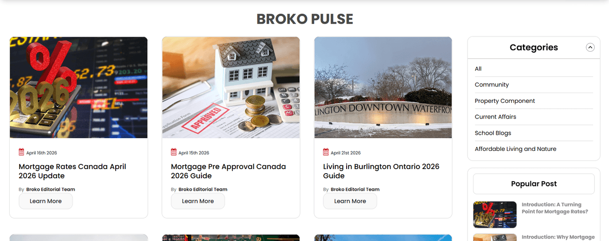 Broko Pulse screenshot